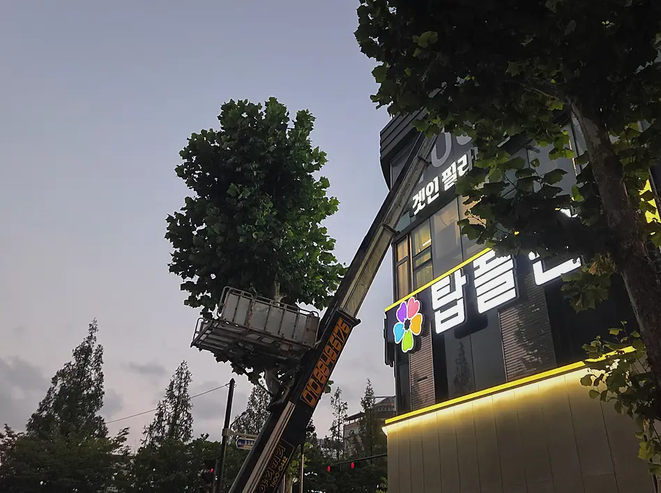 일산동구 악취탈취청소 악취 탈취·방역 소독